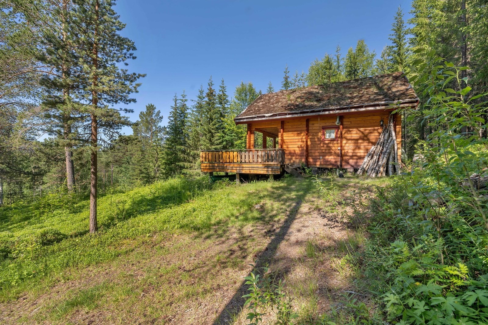 Kjøreadkomst og parkering på eiendommen. Galleribilde