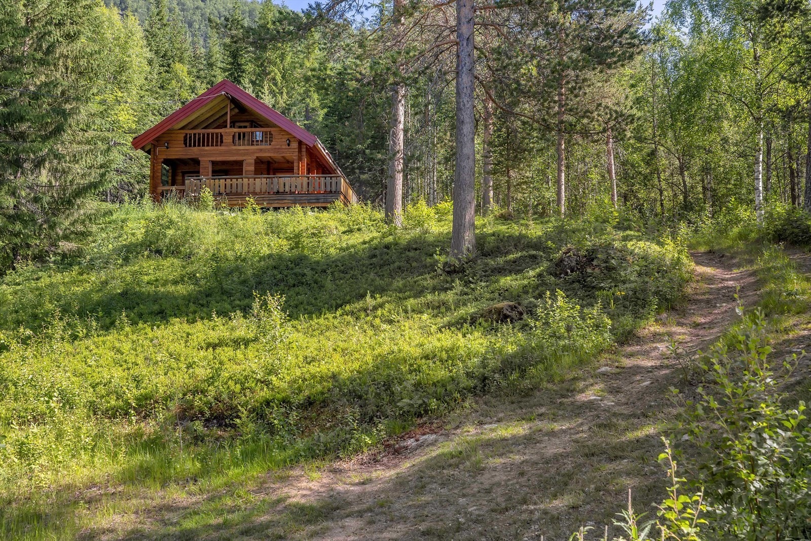 Skjermet beliggenhet på en høyde fra veien. Galleribilde