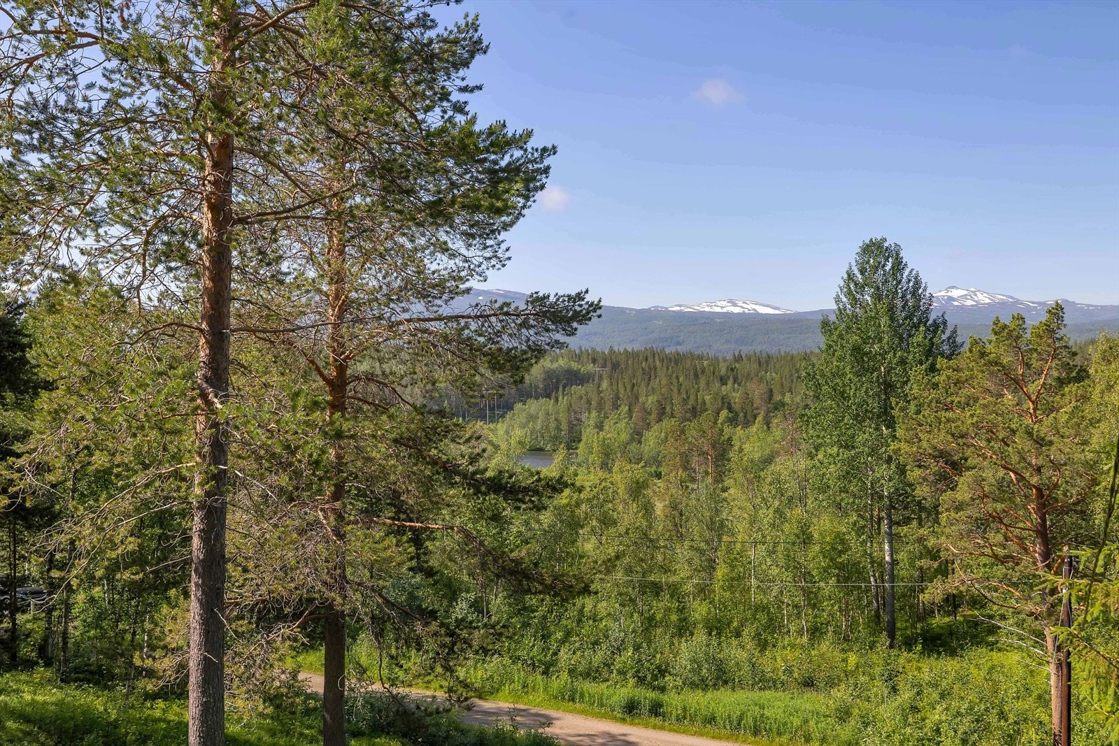 Utsikt fra hytta. Galleribilde