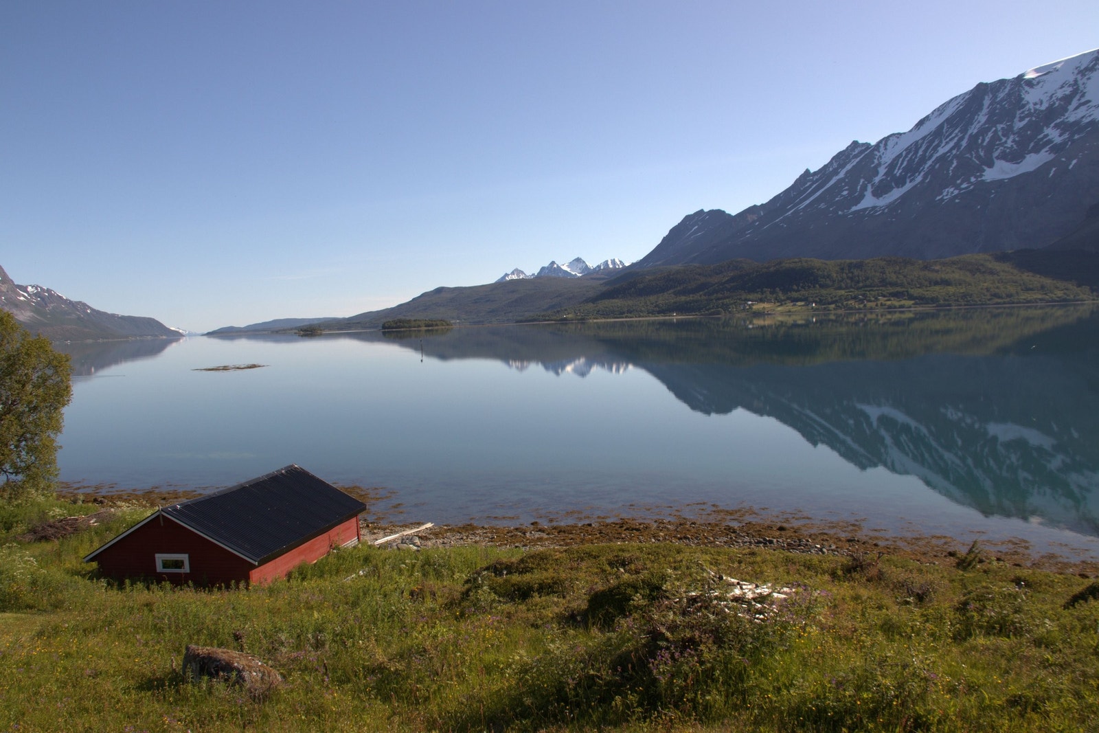 Sørfjorden Galleribilde