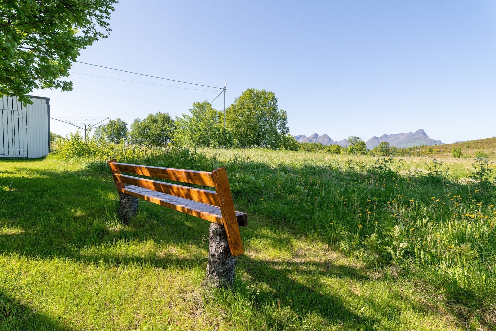 Uteområdet Galleribilde