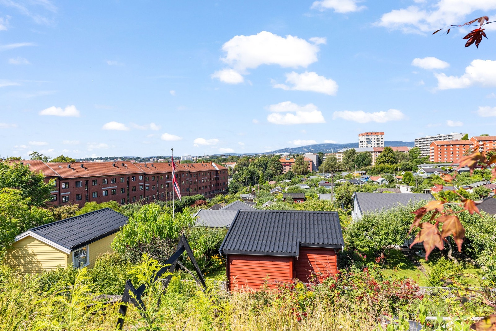 Rett i nærheten ligger Rodeløkkas nydelige kolonihage, perfekt for koselige søndagsturer. Galleribilde