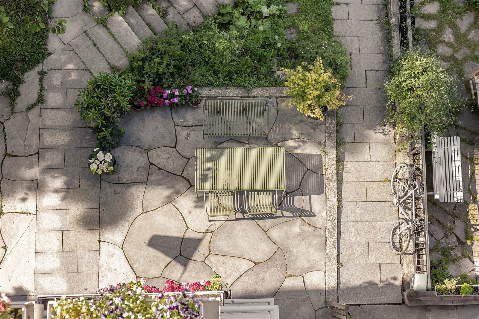 Fint og frodig utsyn. Galleribilde