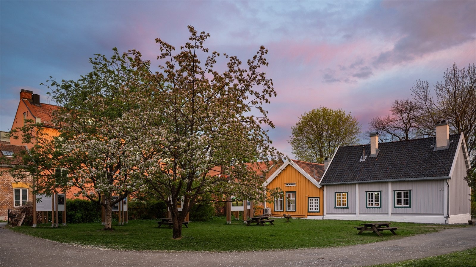 Områdebilde. Galleribilde