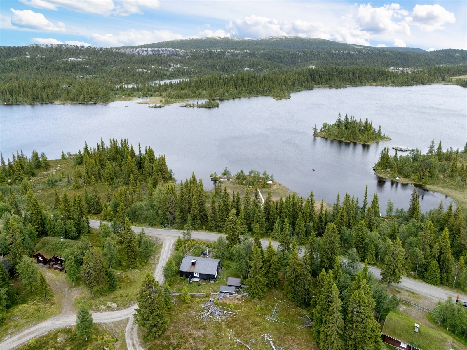Området byr på flotte naturopplevelser året rundt. Galleribilde