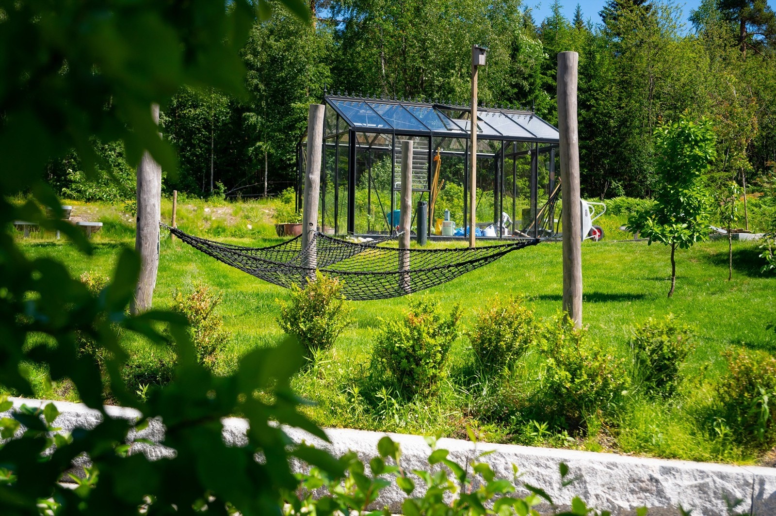 Felles drivhus gir beboerne mulighet til å dyrke urter, grønnsaker og blomster - en sosial og grønn møteplass i nærmiljøet. Galleribilde