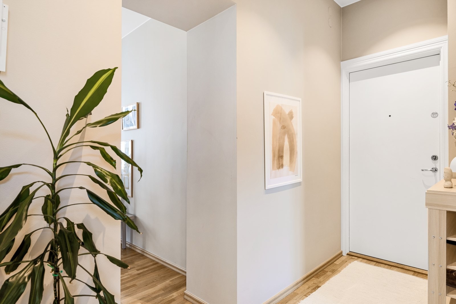 - Entréen er utstyrt med dørcalling for praktisk og sikker adkomst - Galleribilde