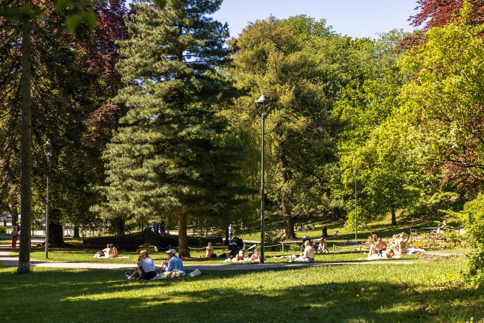 St. Hanshaugen park Galleribilde