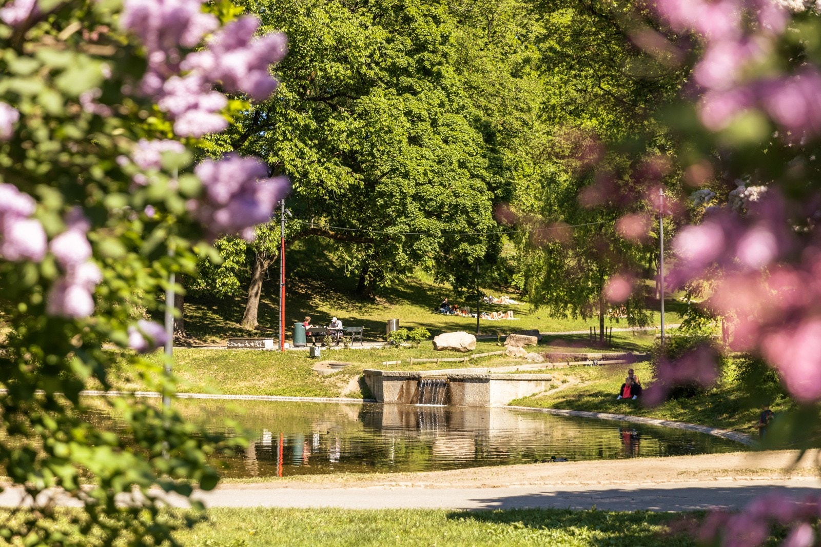St. Hanshaugen park Galleribilde