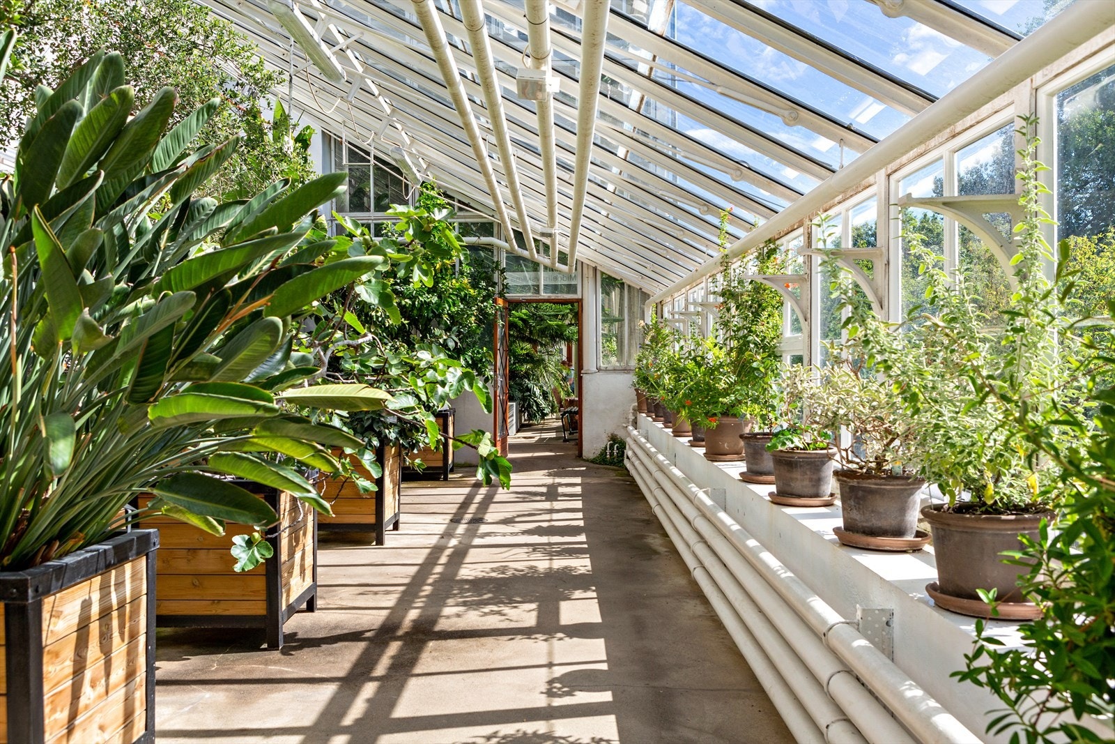 Botanisk hage på Tøyen er en frodig perle som byr på vakre omgivelser, ro og naturopplevelser året rundt Galleribilde