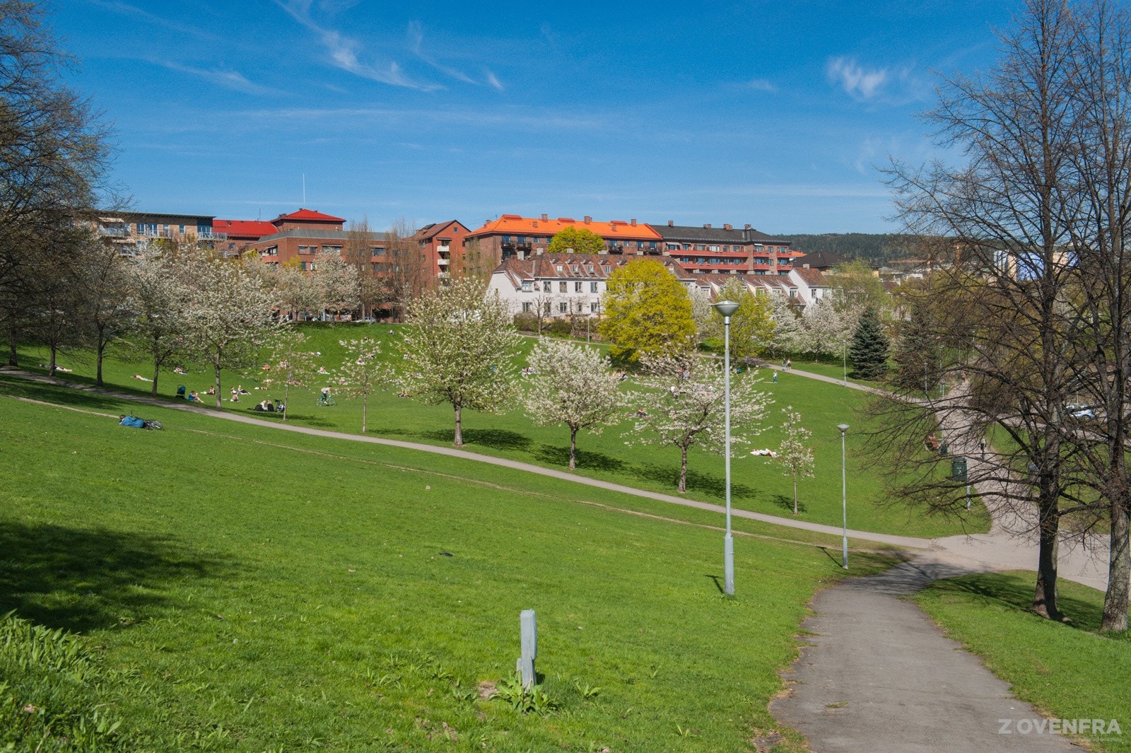 Det er kort avstand til av mange nærliggende parker Galleribilde