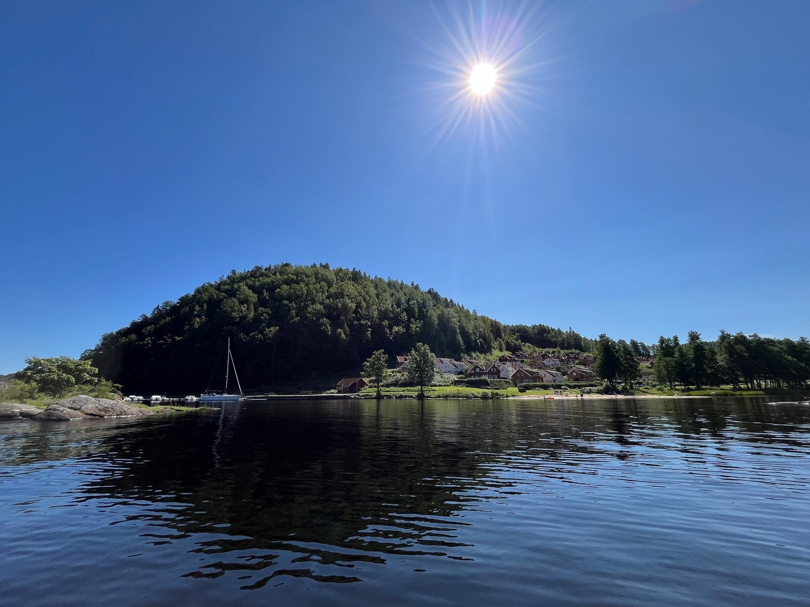Sommerbilde fra sjøen Galleribilde