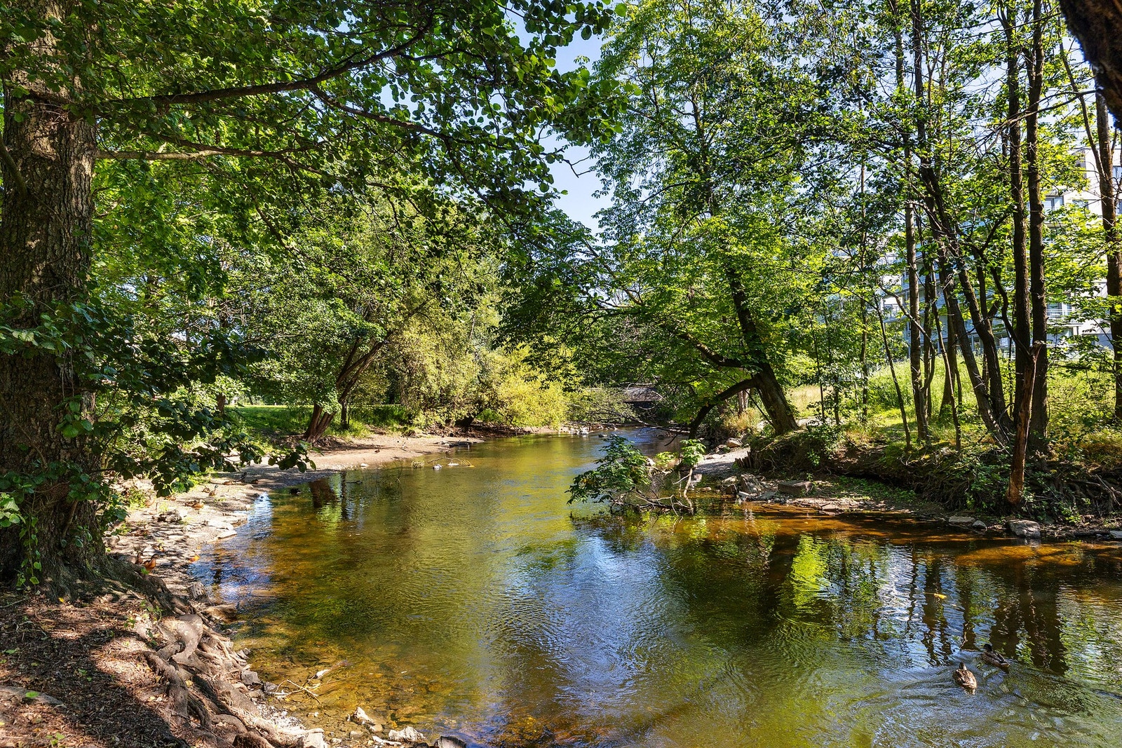 Kort vei til Akerselva gir deg turmuligheter året rundt. Galleribilde