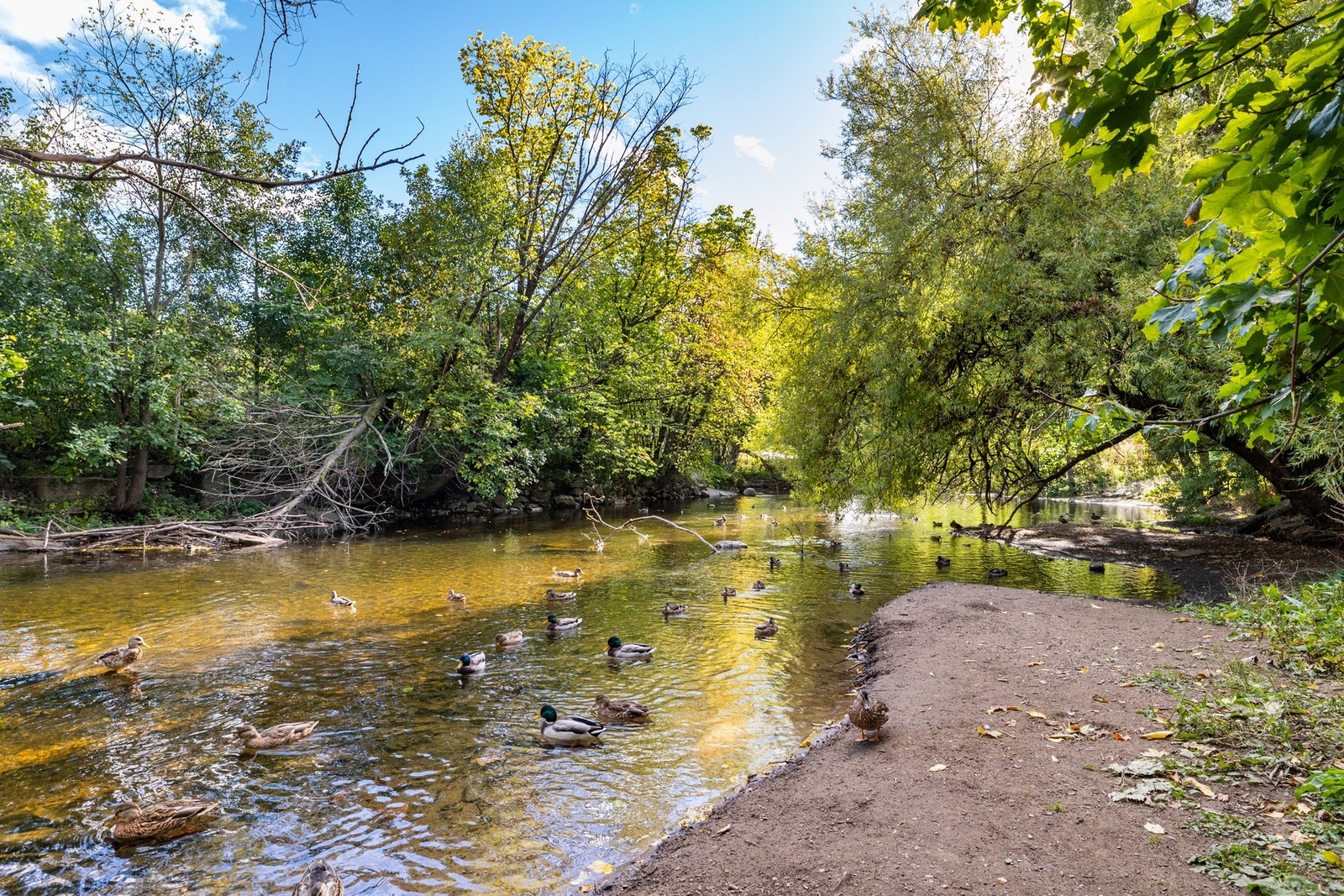 Nærområdet. Galleribilde