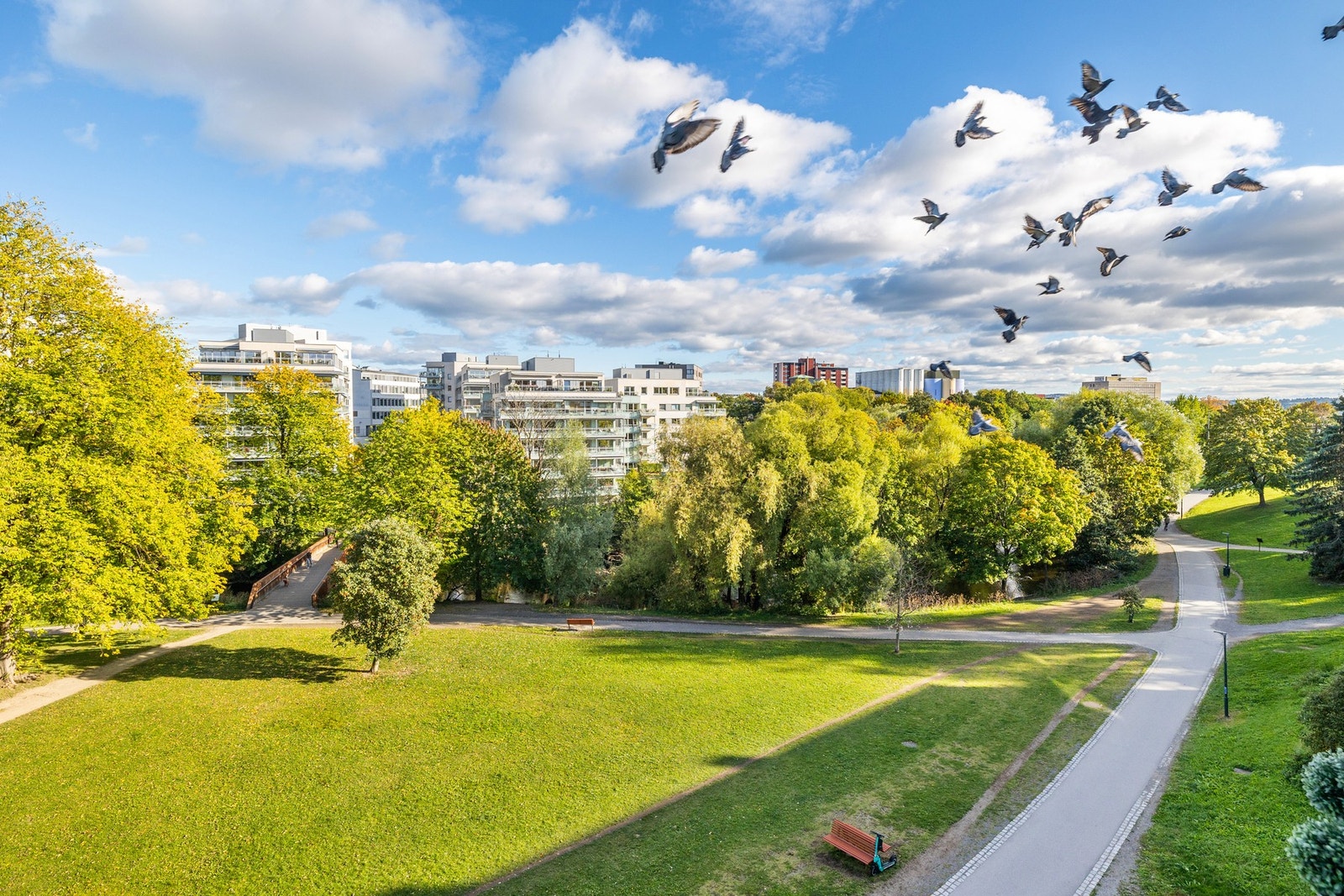 Nærområdet. Galleribilde