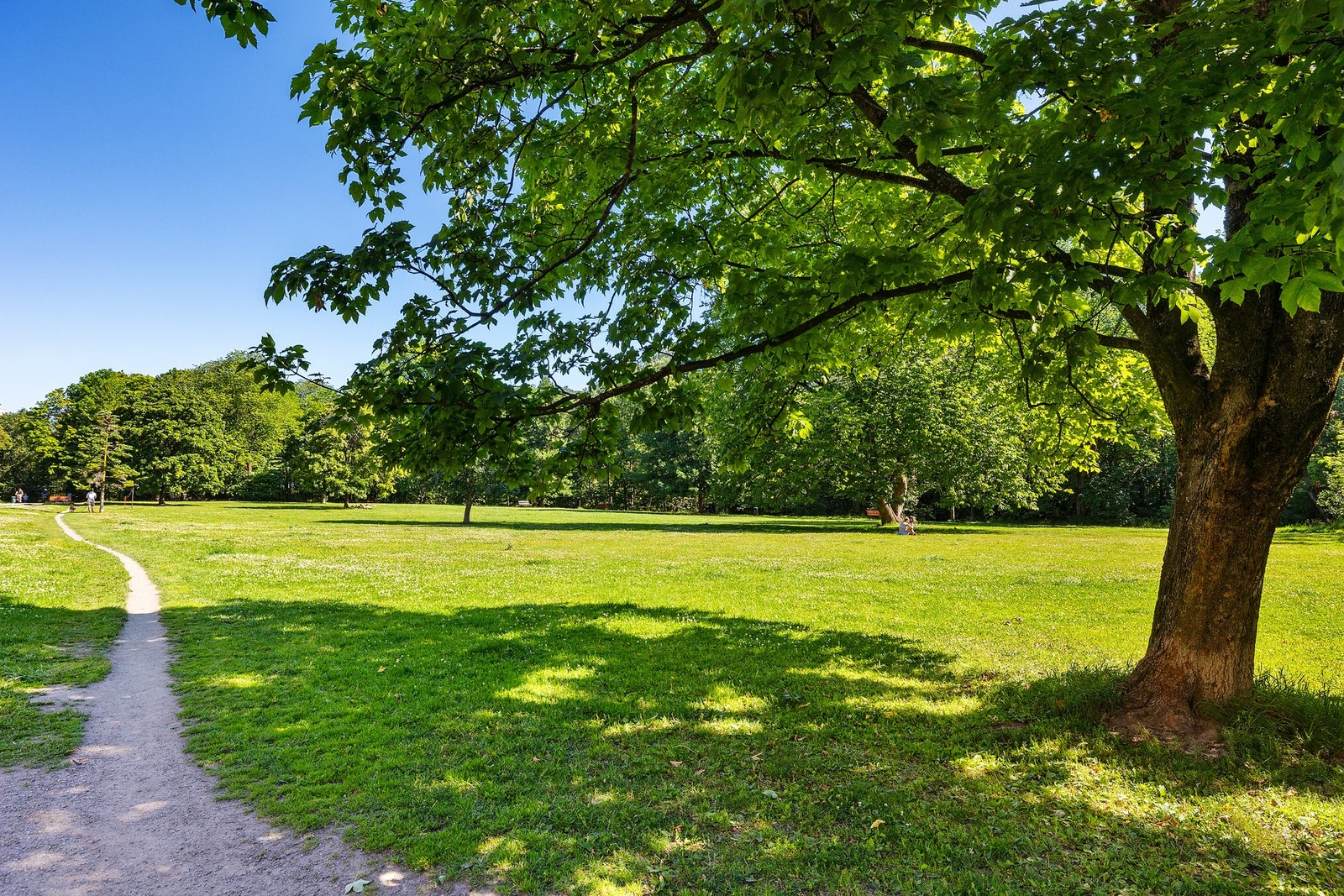 Nærområdet. Galleribilde