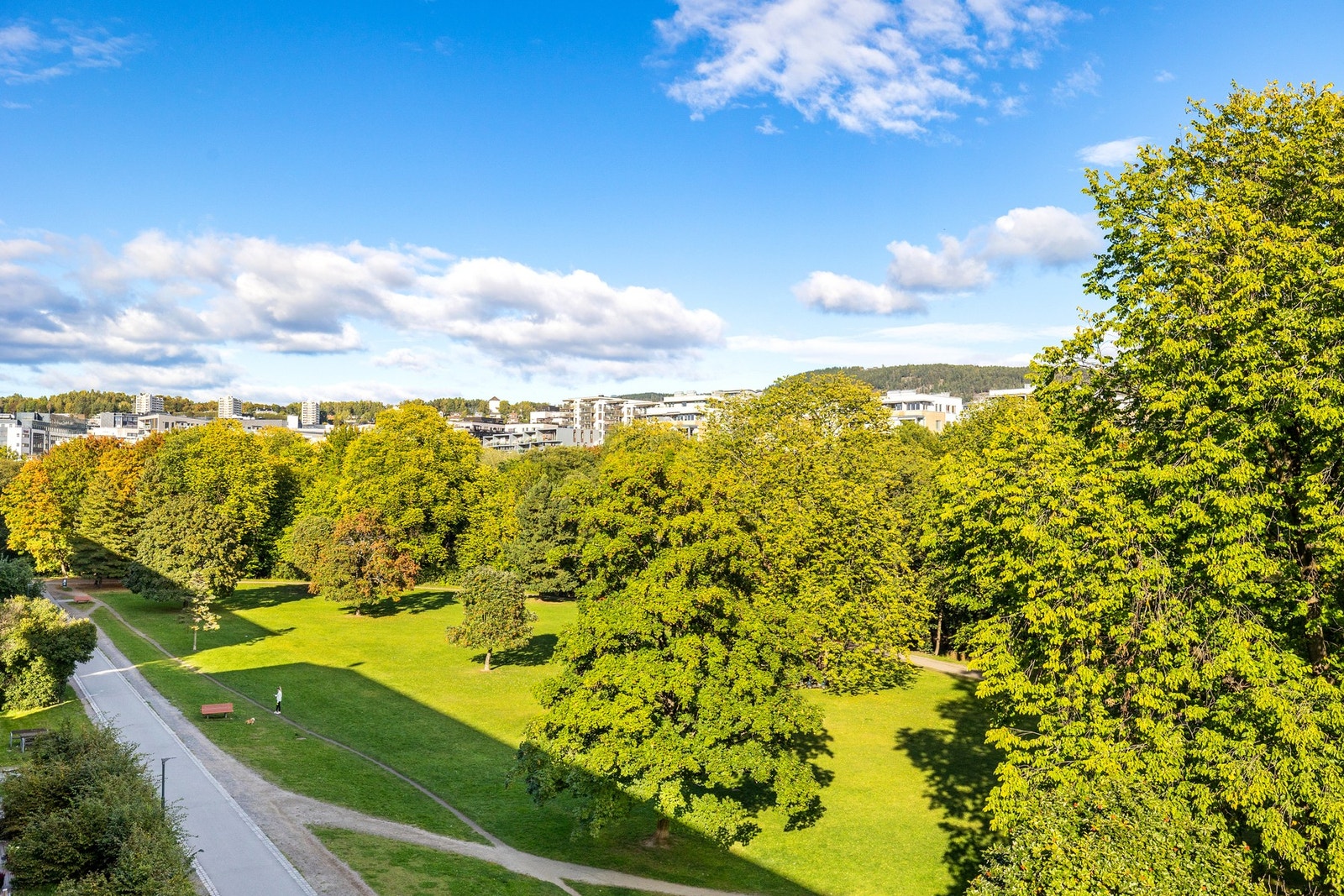 Nærområdet. Galleribilde