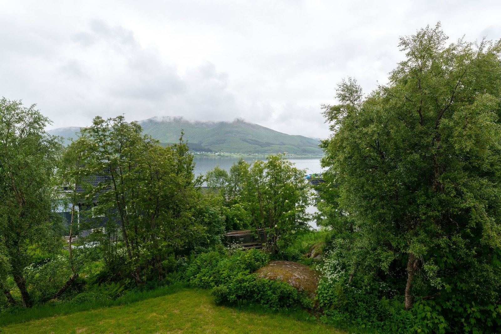 Utsikten fra terrassen. Galleribilde