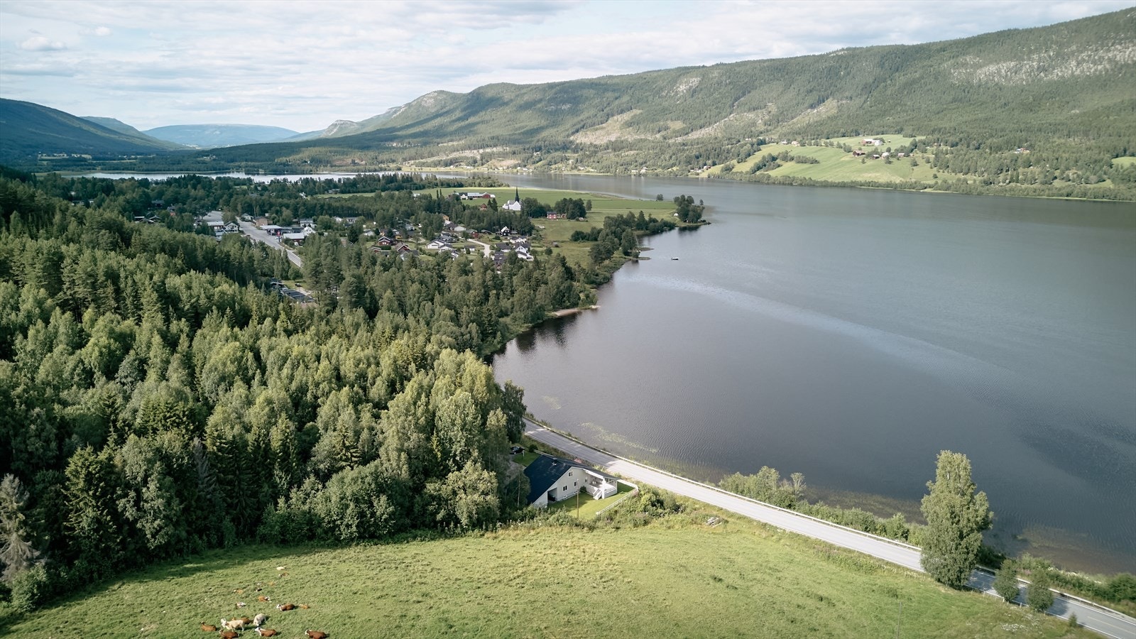 Oversiktsbilde. Galleribilde