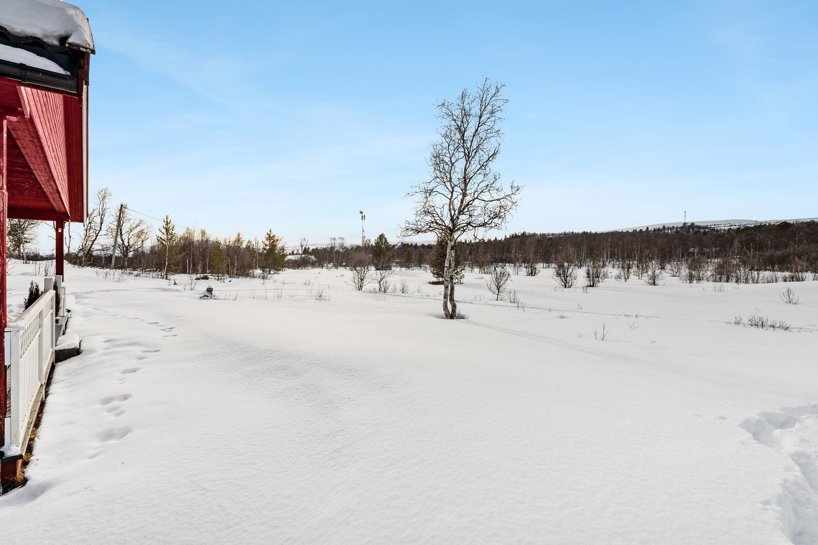 Flott natur i umiddelbar nærhet som byr på gode turmuligheter både sommer og vinter Galleribilde
