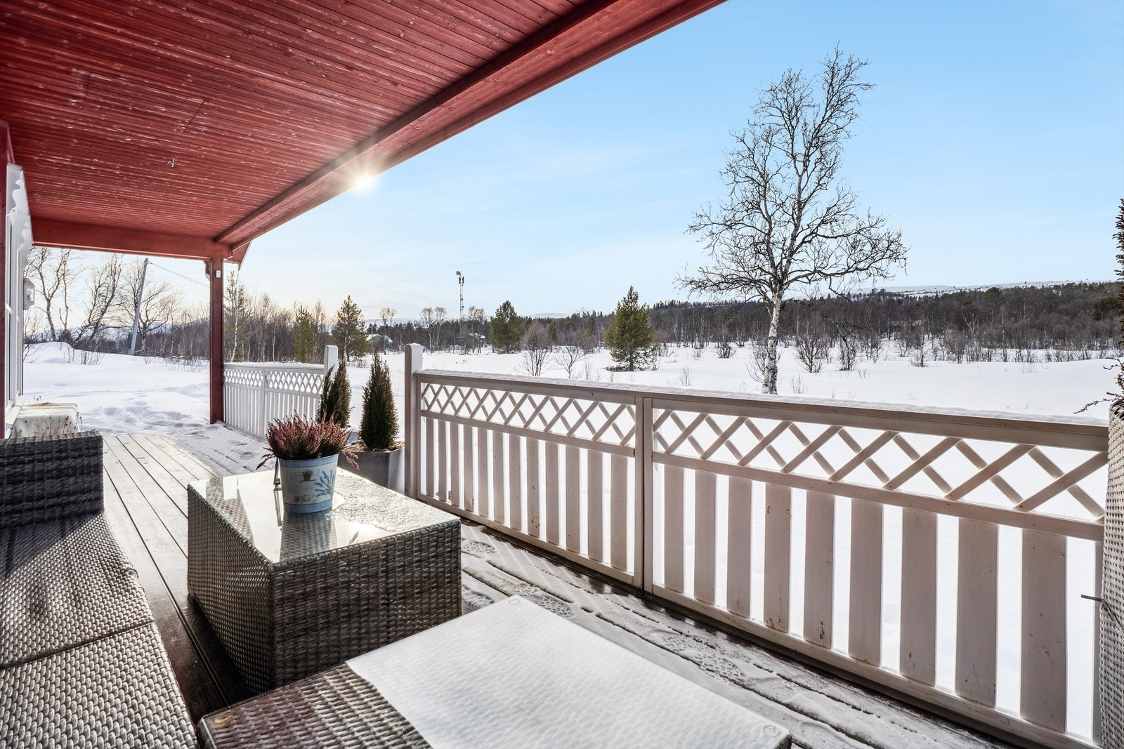 Flott utsikt til snaufjellene Galleribilde