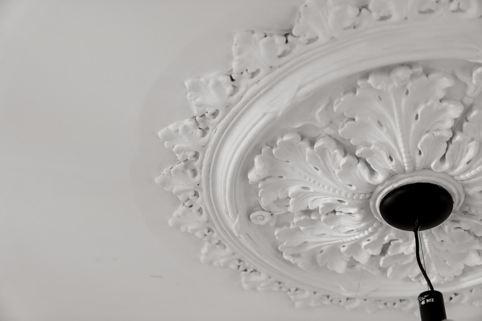 Rosett i stue. Galleribilde