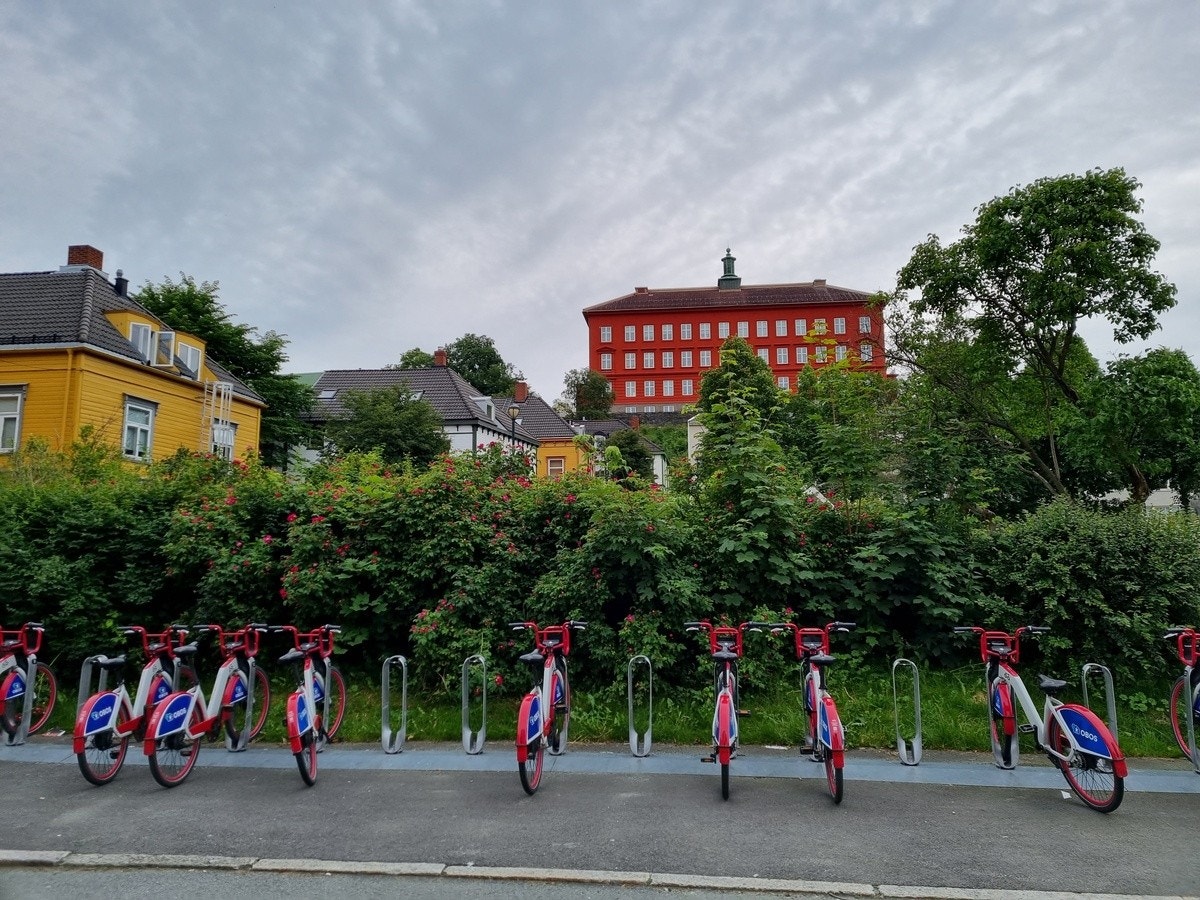 Thrornæsparken i nabolaget Galleribilde