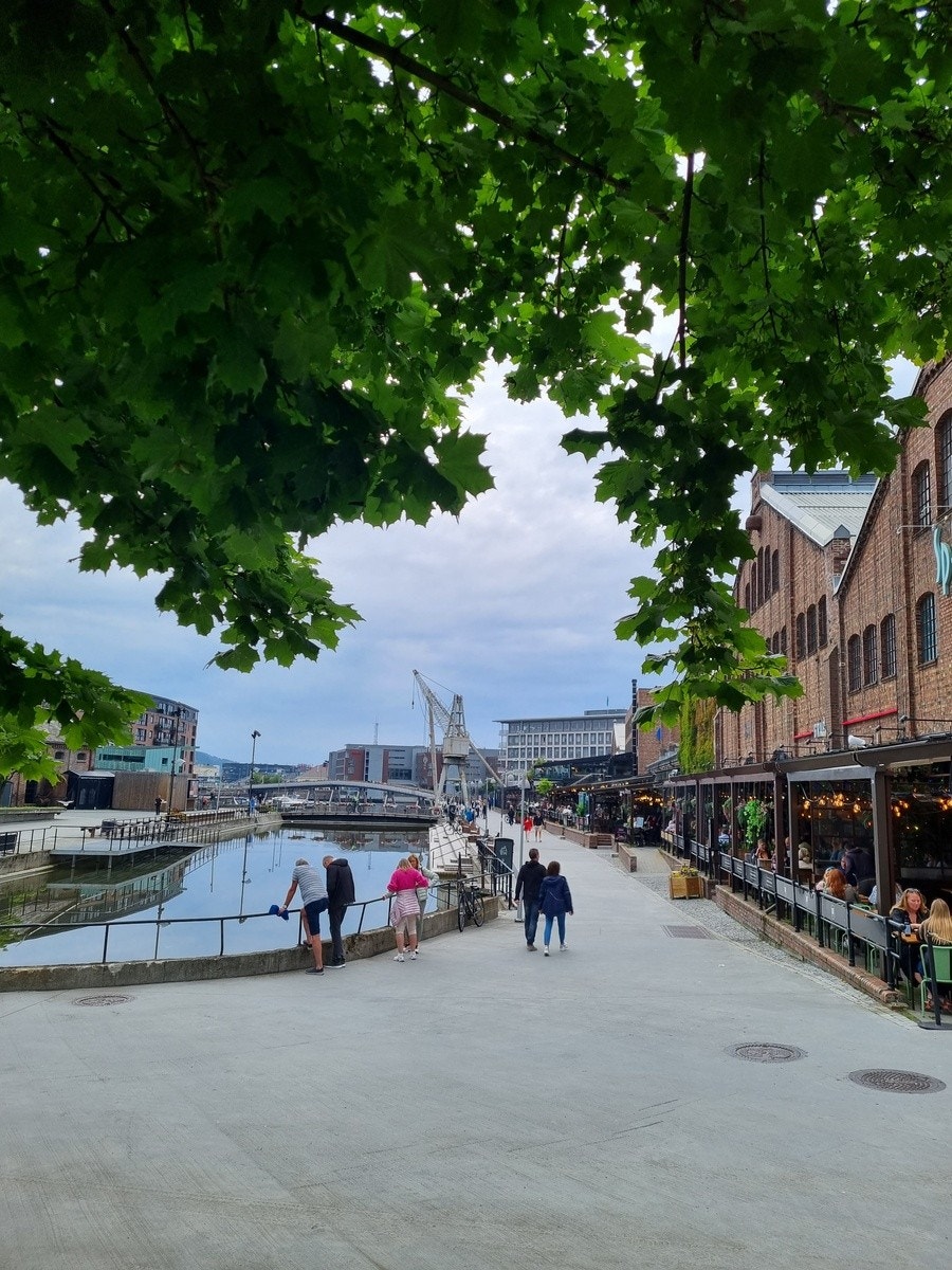 Kort vei til Nedre Elvehavn Galleribilde