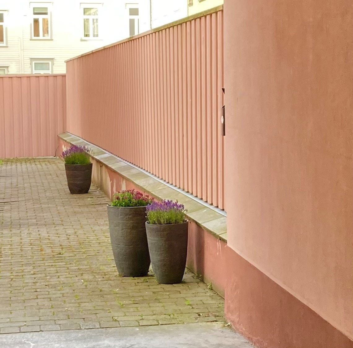 Bakgård med blomster Galleribilde