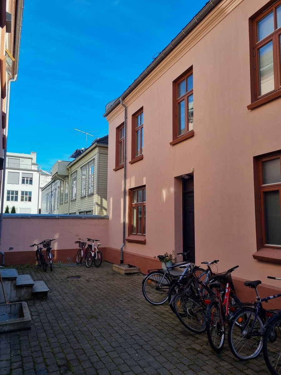 Bakgård sommer Galleribilde