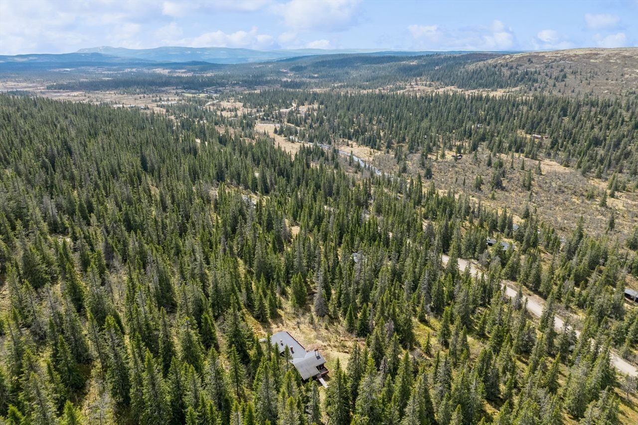 Det er ca. 100 m gangsti fra vegen og til fritidsboligen. Galleribilde