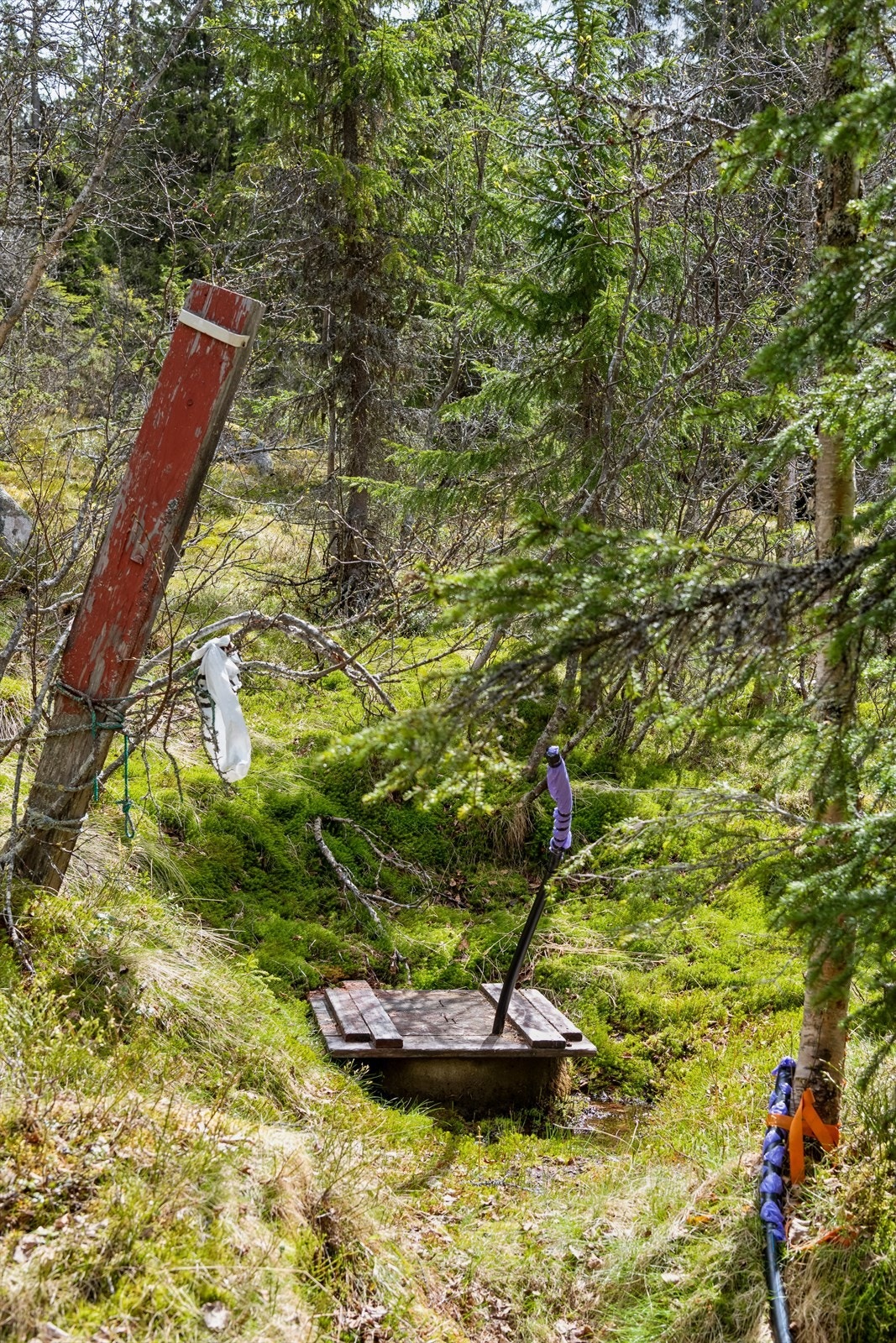 Vannpost i nærheten av fritidsboligen. Galleribilde