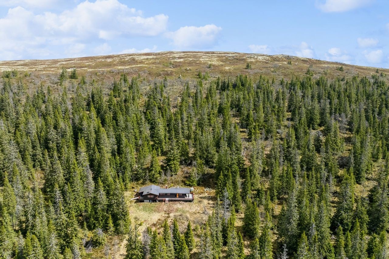 Fritidsboligen ligger flott til omkranset med norsk skogsnatur. Galleribilde