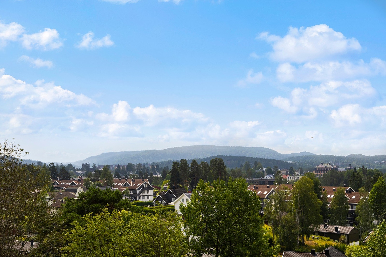 Store vinduer gir fint lysinnslipp og utsikt til hyggelige omgivelser. Galleribilde