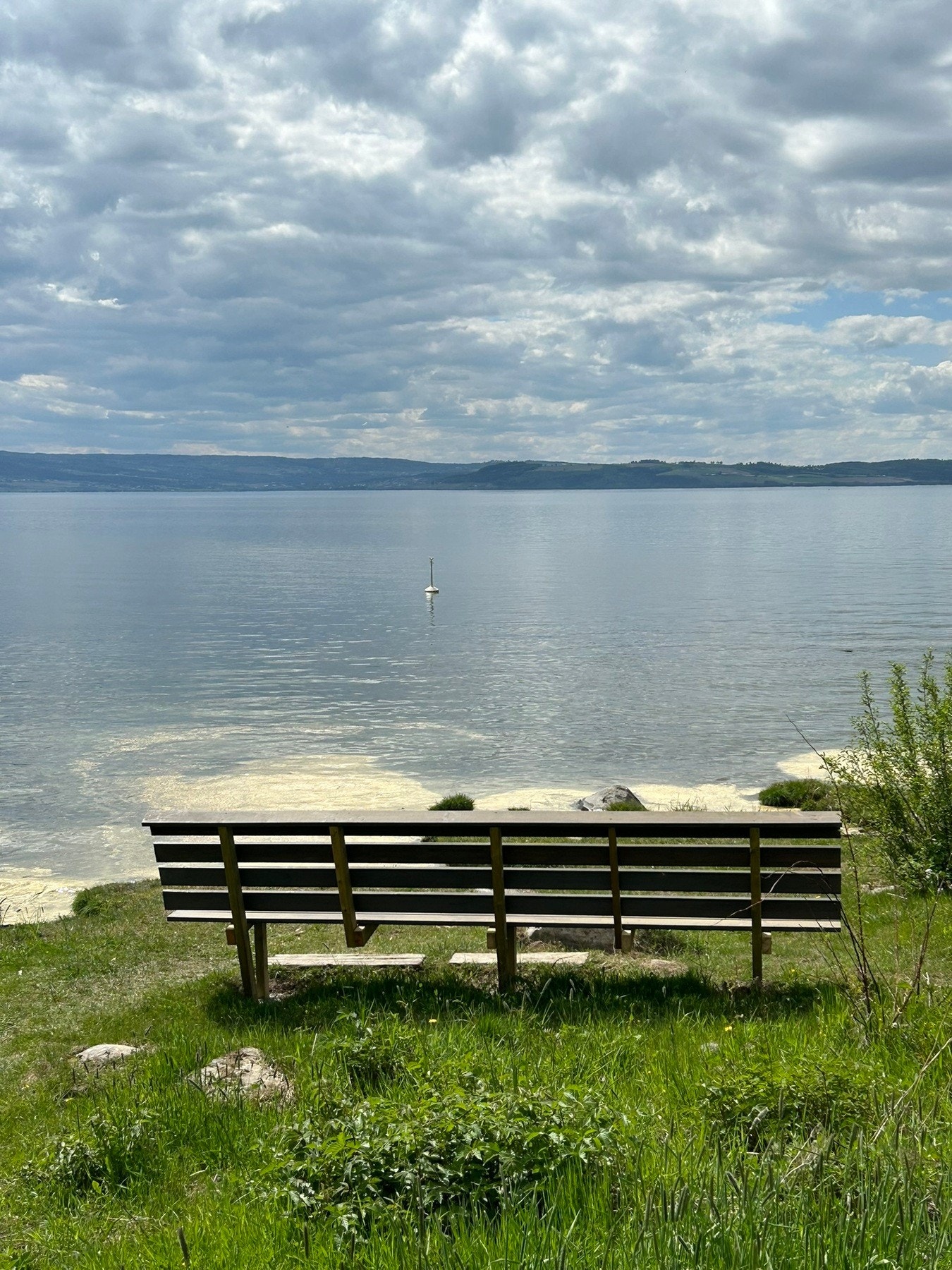 Privat bilde Galleribilde