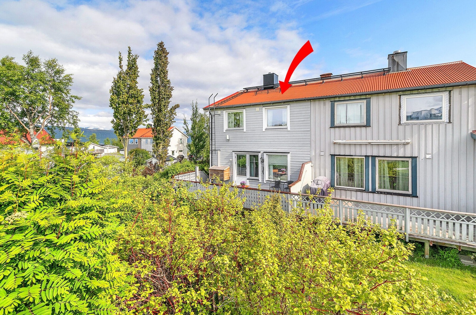 Velkommen til Sykehusveien 25! Galleribilde