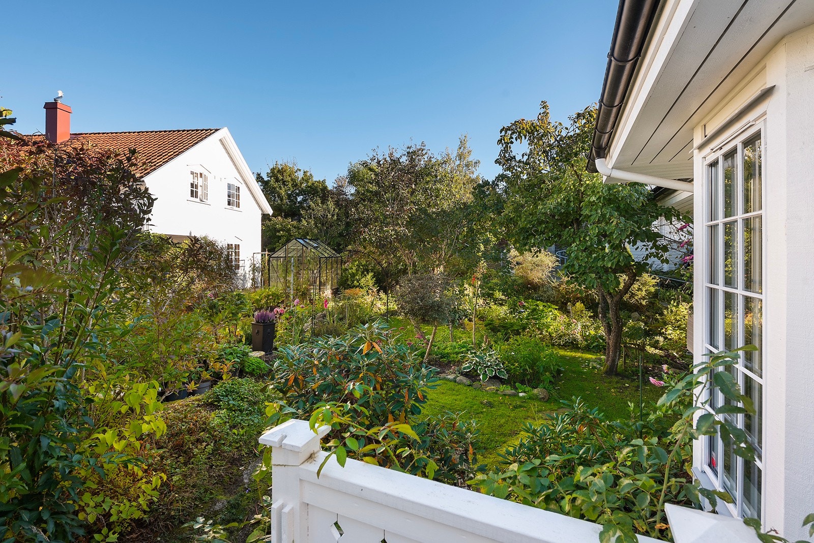 Flotte grøntområder i hagen Galleribilde