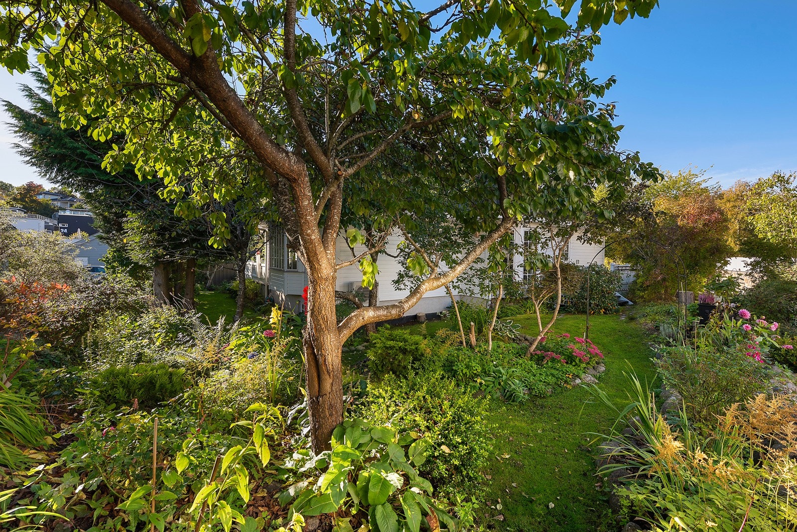 Det er rikelig med planter, busker og trær i hagen som gir en park-lignende følelse Galleribilde