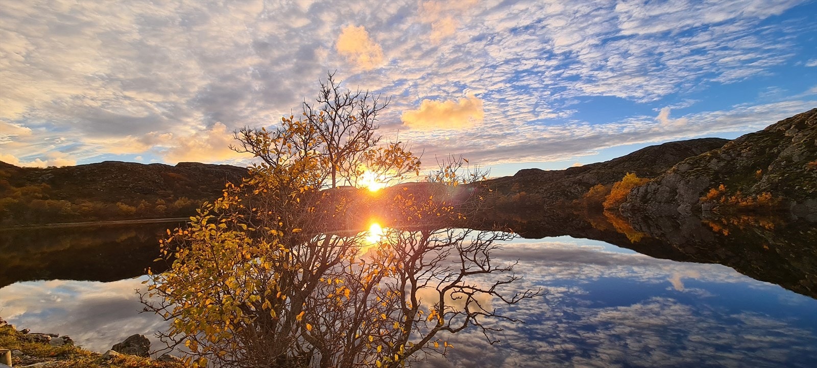 20241010_172903.jpg Galleribilde