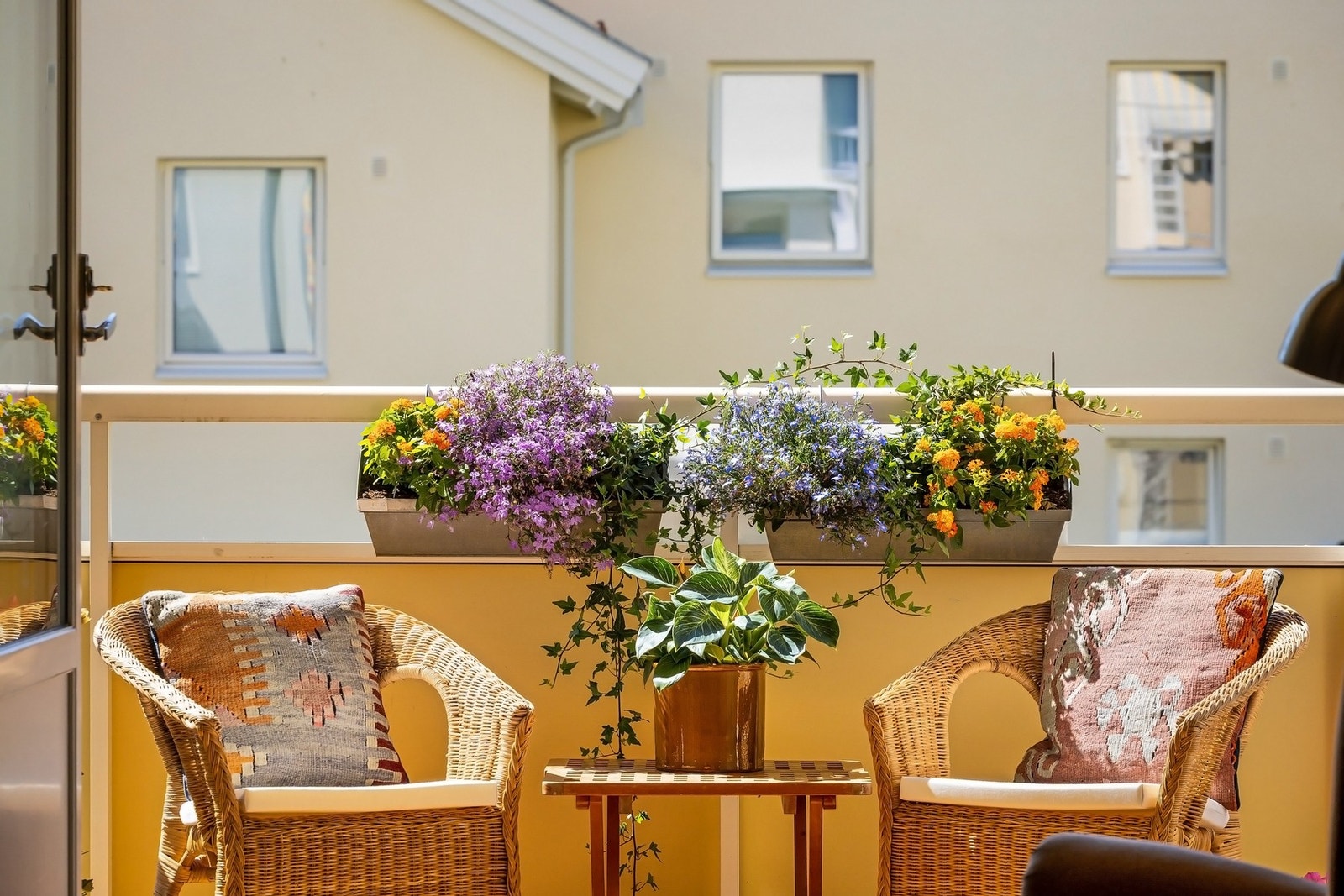 Vakre, grønne planter trives ekstra godt i solveggen her. Galleribilde