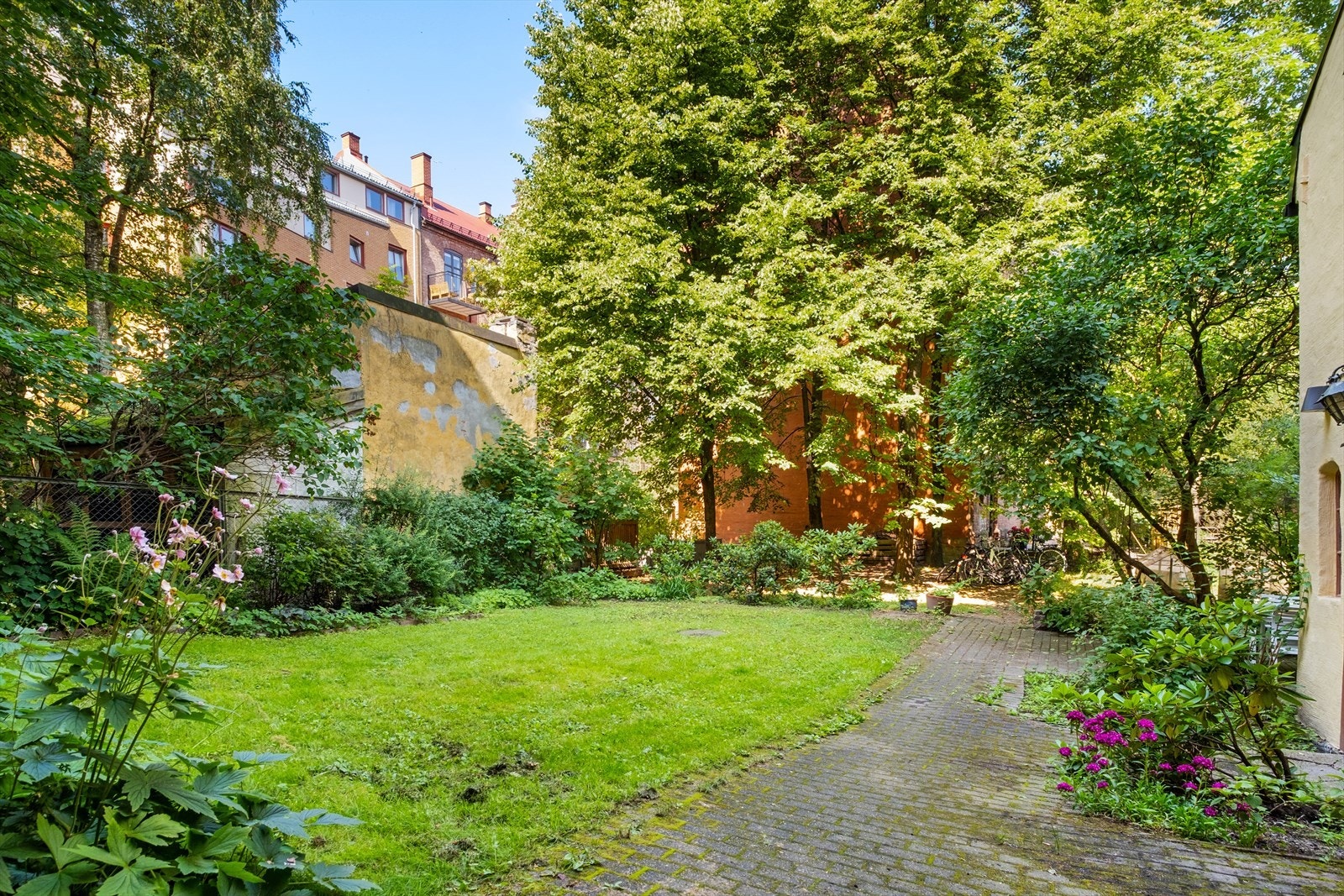 Bakgård. Galleribilde