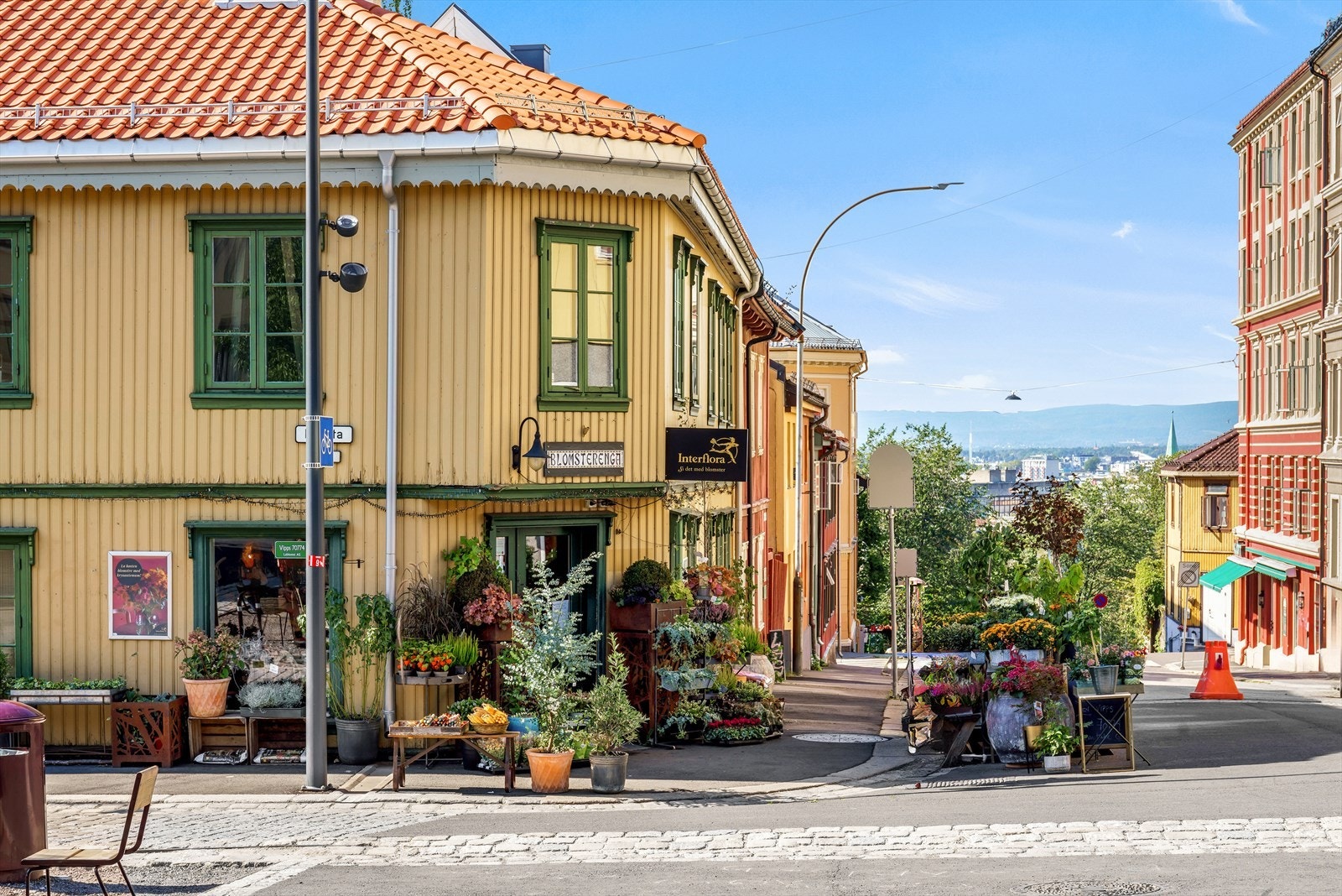 Blomsterenga på Kampen Galleribilde