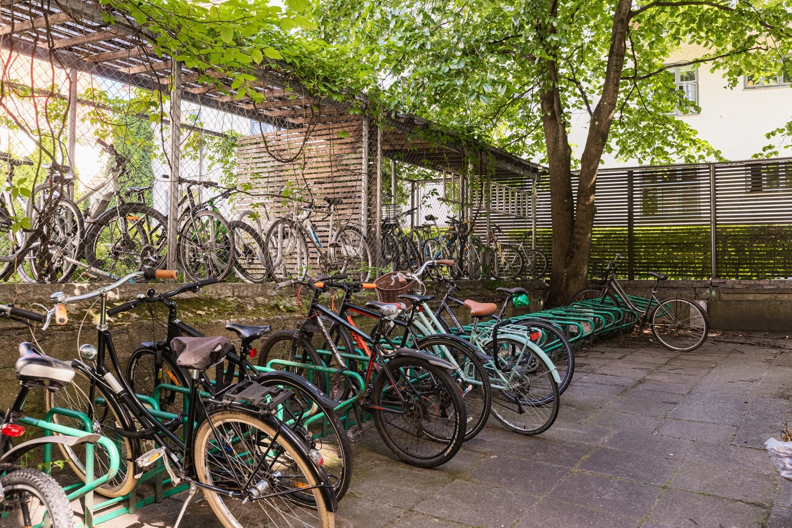 Sykkelparkering i bakgård. Galleribilde