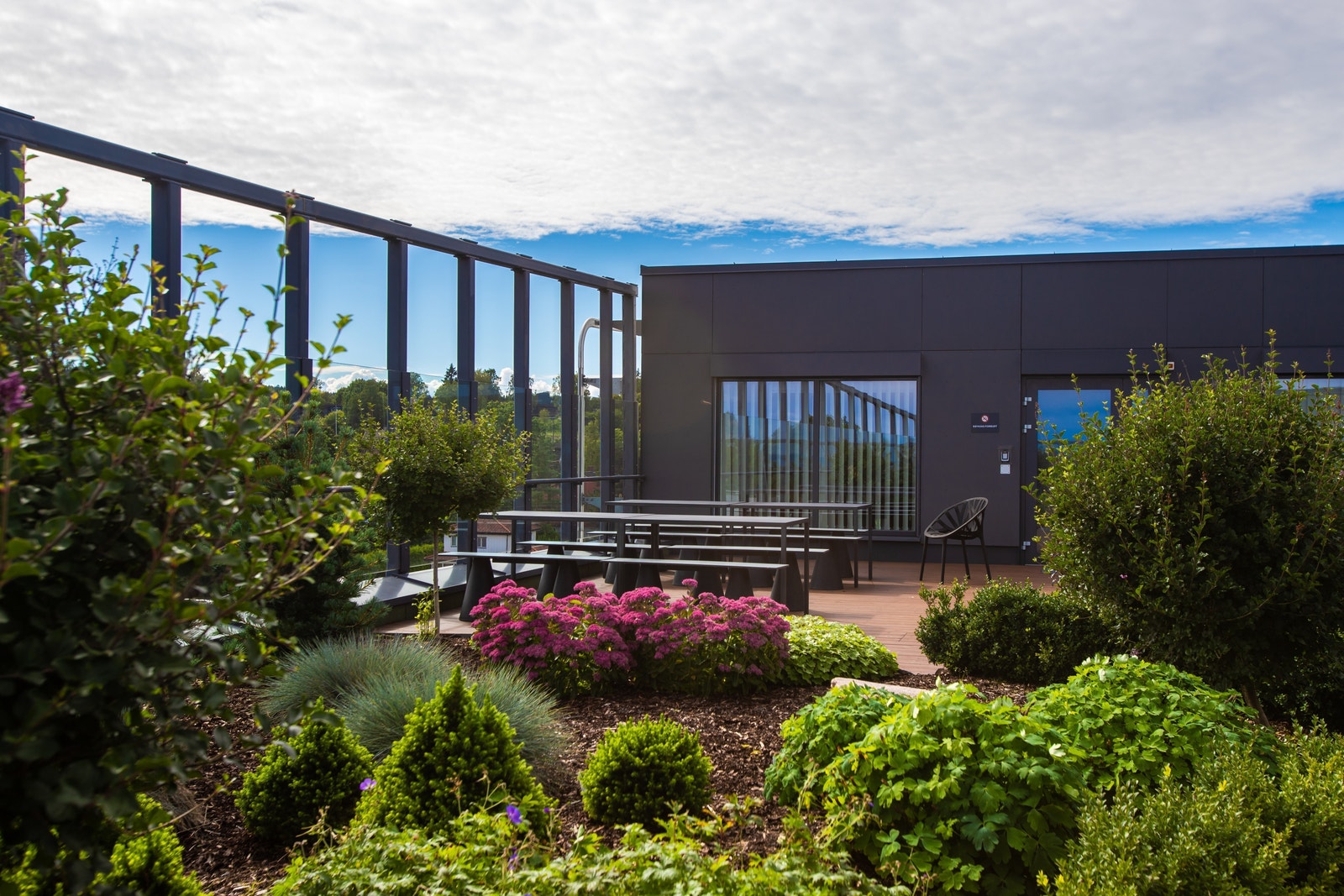 Felles takterrasse Galleribilde