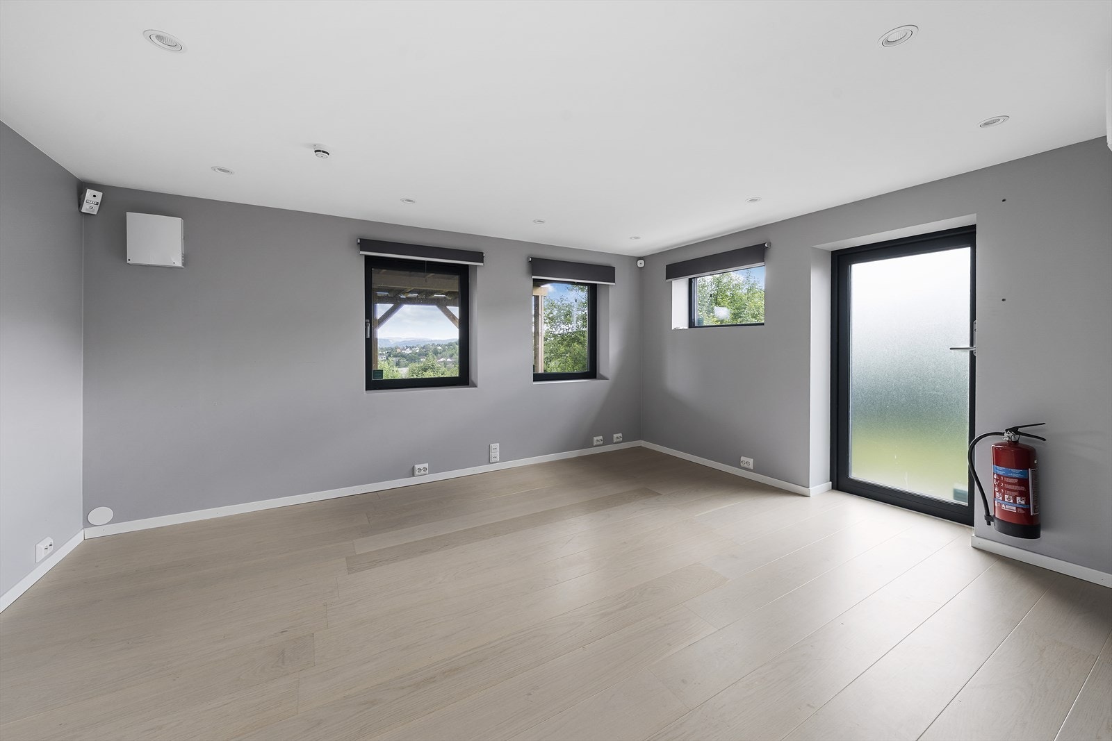 Kjellerstue med varmepumpe og utgang Galleribilde