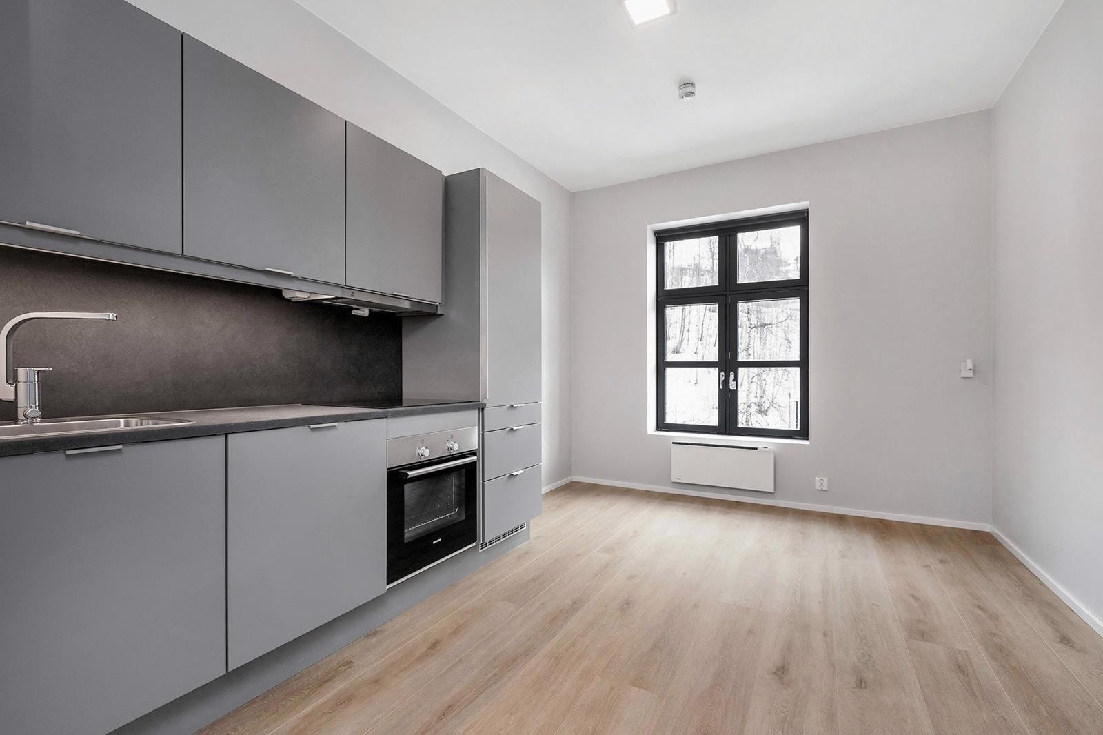 Kjøleskap, komfyr, oppvaskemaskin og klesskap medfølger Galleribilde