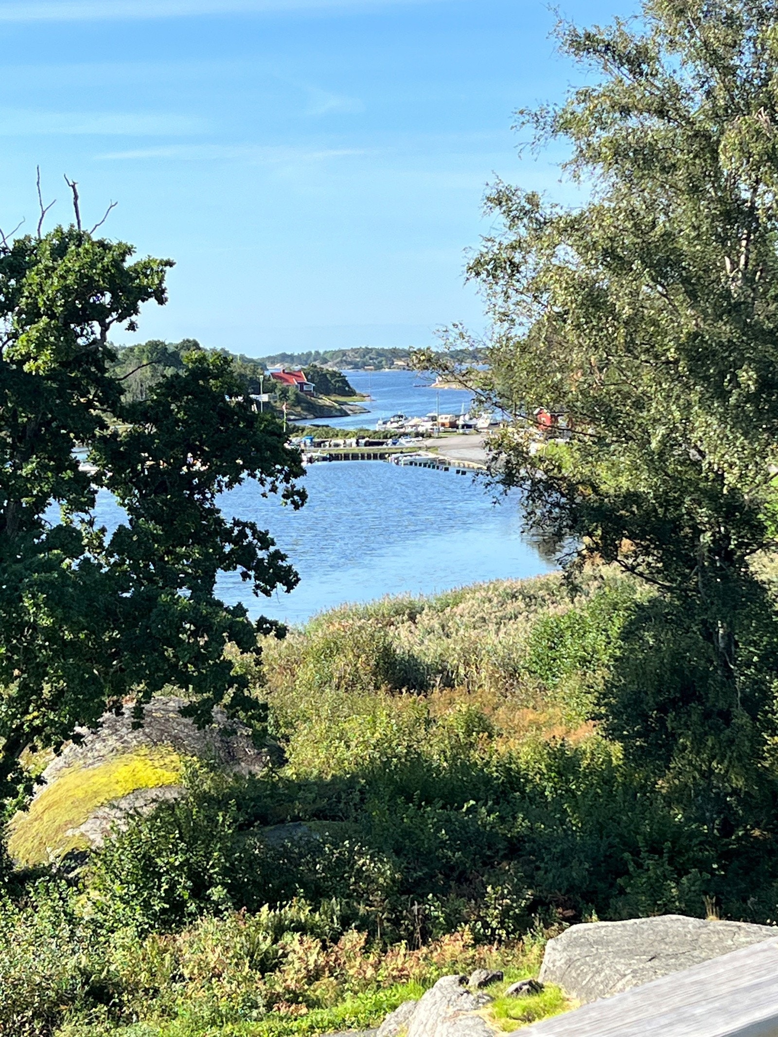 Flott utsikt mot syd Galleribilde