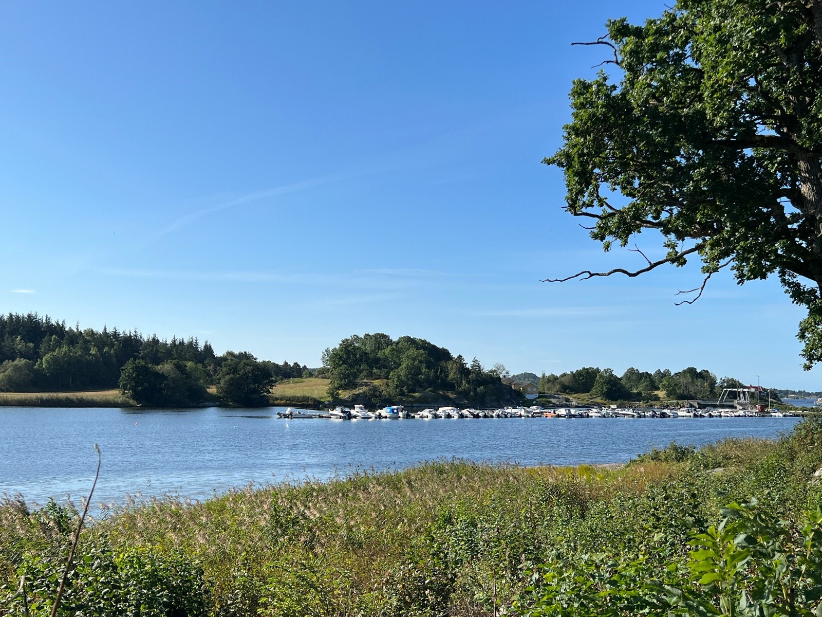 Nydelige naturskjønne omgivelser Galleribilde