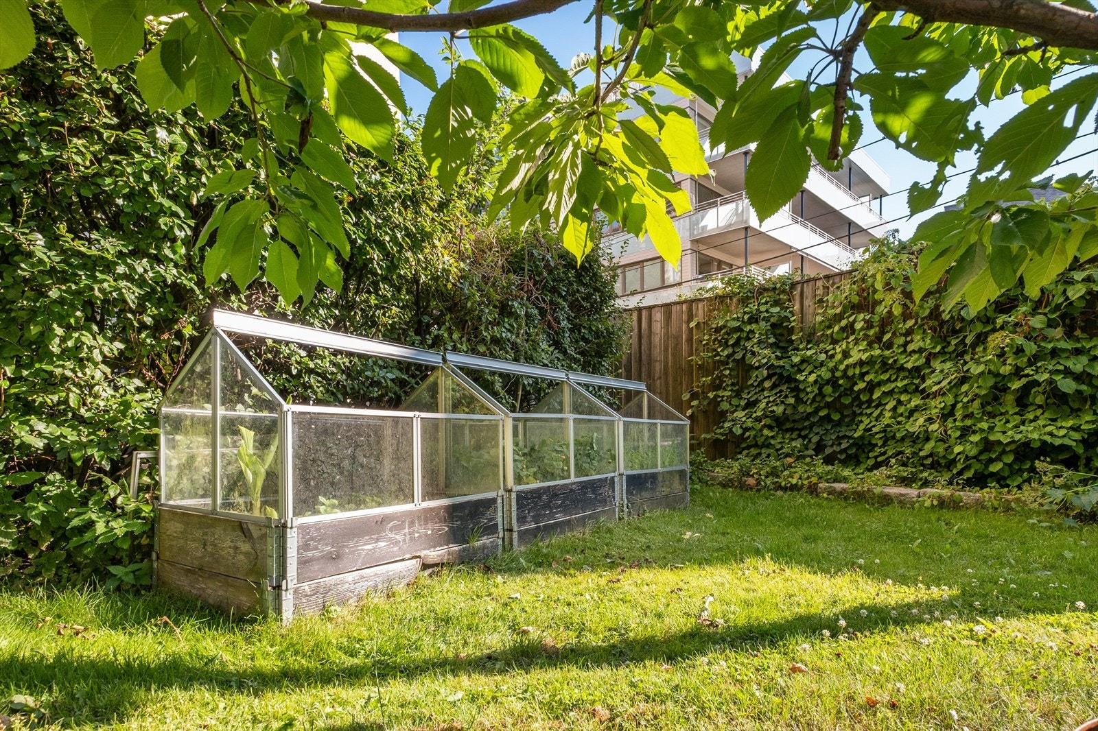 Hagelag hvor du kan dyrke i egen plantekasse Galleribilde