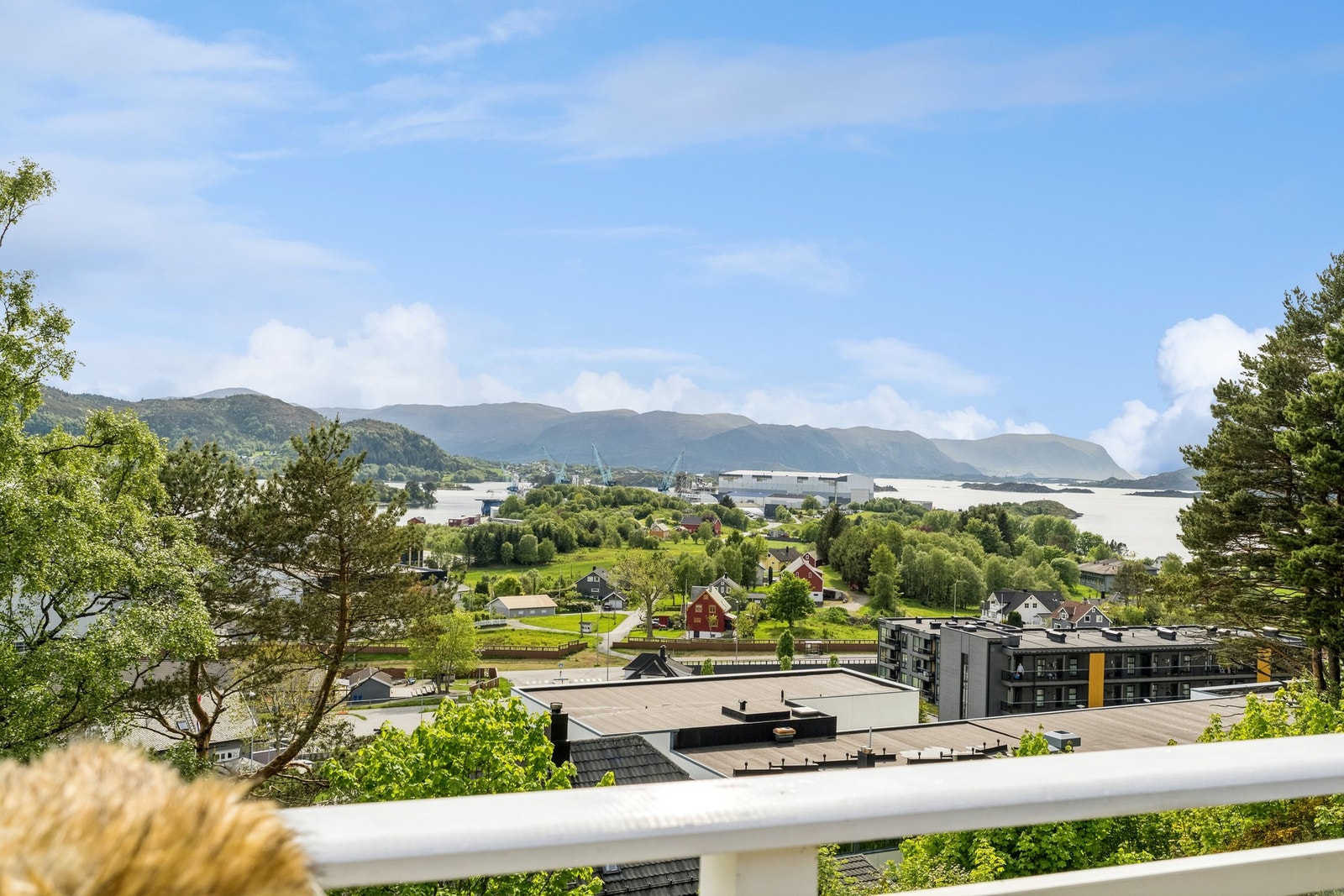 Utsikt sett fra terrassen. Galleribilde